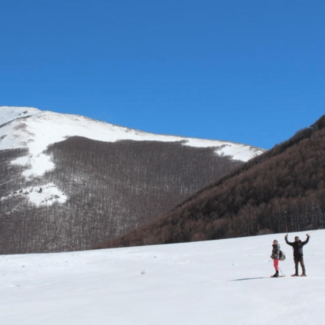 Snowshoeing in the Pollino National Park - Key Points