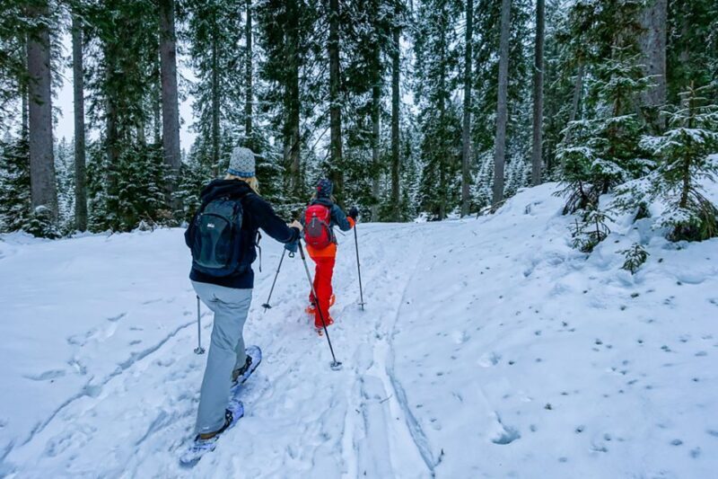 Snowshoeing in Triglav National Park - Introduction to Snowshoeing in Triglav National Park