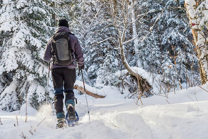 Snowshoeing Tour in Jacques-Cartier National Park - Health and Safety Guidelines