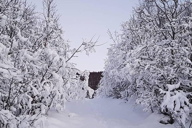 Snowshoeing With A View - Key Points