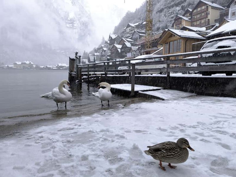 Snowy Alps & Fairytale Towns: Hallstatt & Salzburg Tour - The Sum Up: Is It Worth It?