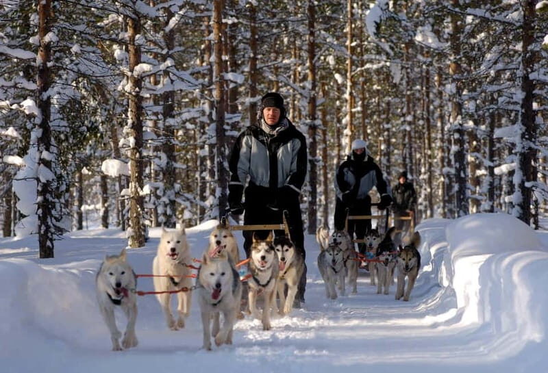 Snowy Trails Husky Safari (5 Km) - FAQ
