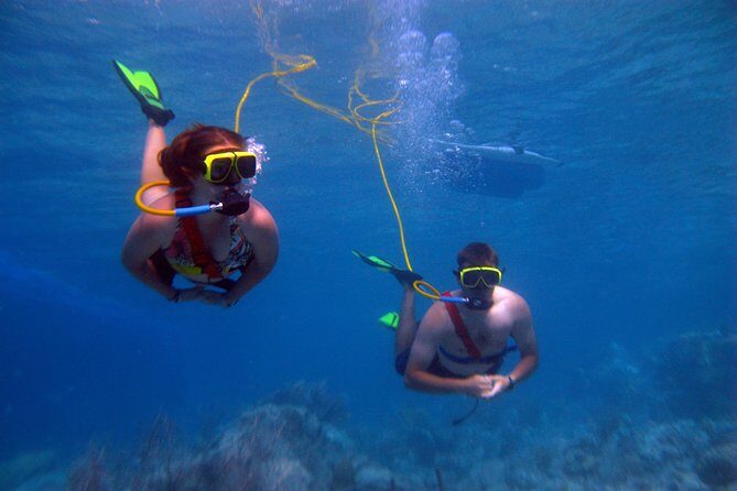 Snuba Adventure at Coral World Ocean Park - The Park and the Surroundings