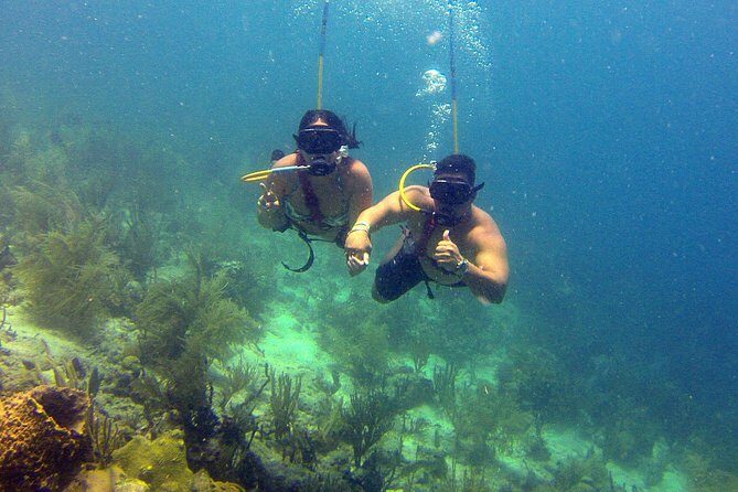 Snuba Adventure at Coral World Ocean Park - What We Think