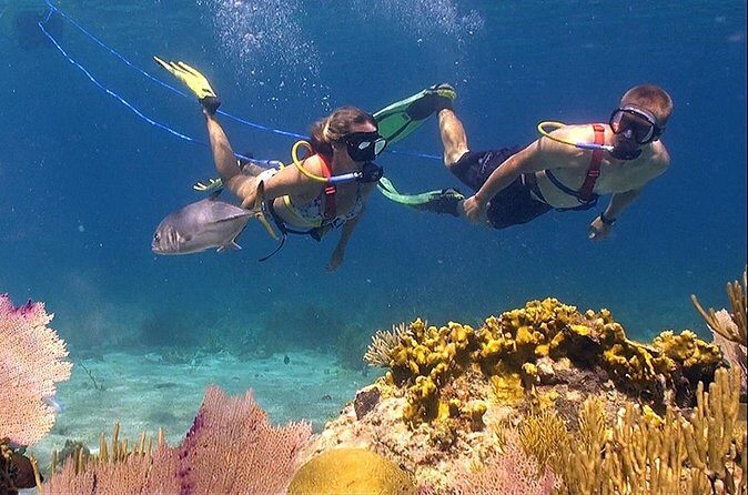Snuba Adventure at Coral World Ocean Park - Who Should Consider This Tour