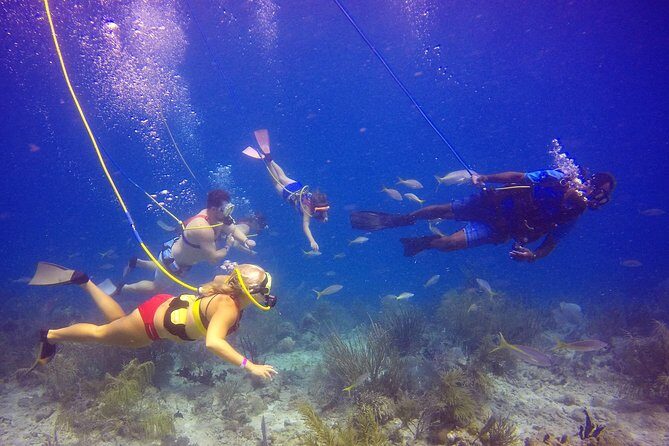 Snuba Adventure at Coral World Ocean Park - The Sum Up