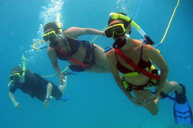 Snuba Adventure at Coral World Ocean Park - FAQs