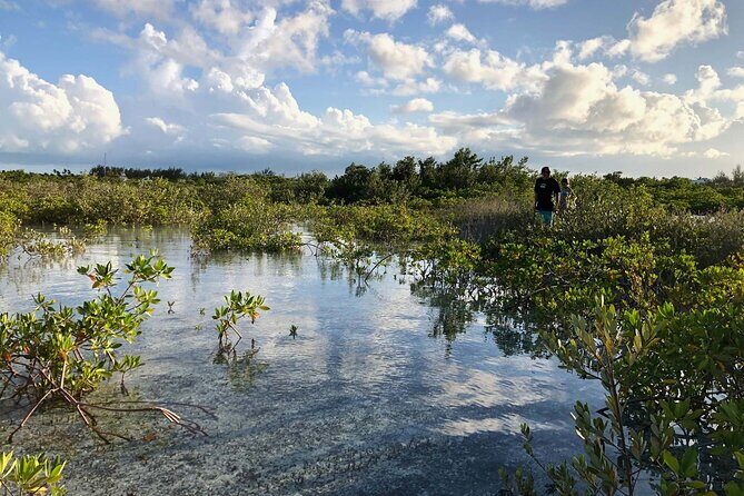 Snuba Adventure at Emerald Reef - What Travelers Say: Authentic Perspectives
