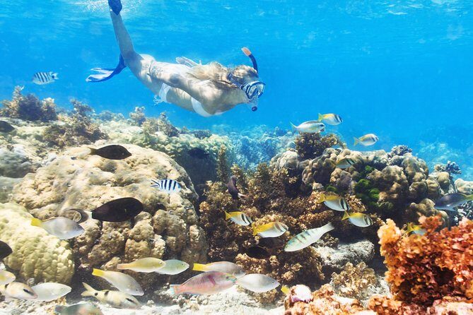 Snuba Snorkelking Parasailing and Catamaran Pack - Key Points