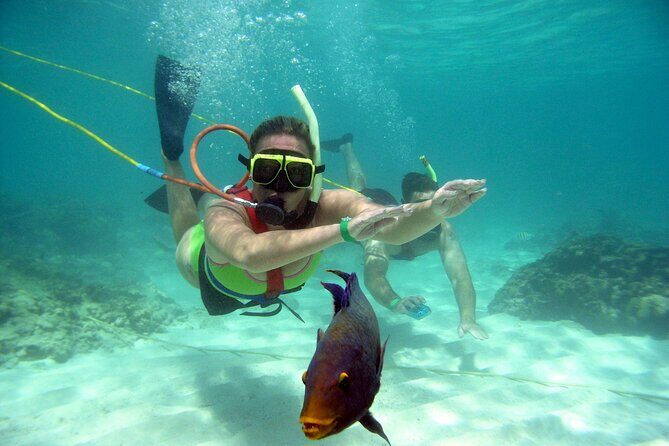 Snuba Snorkelking Parasailing and Catamaran Pack - Cost and Value