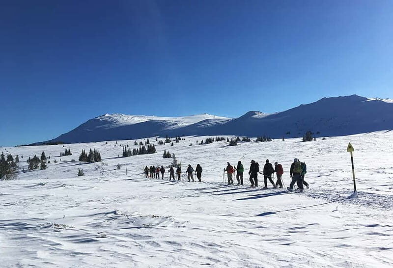 Sofia: Black Peak-Vitosha Mountain Snowshoeing Day Trip - Key Points