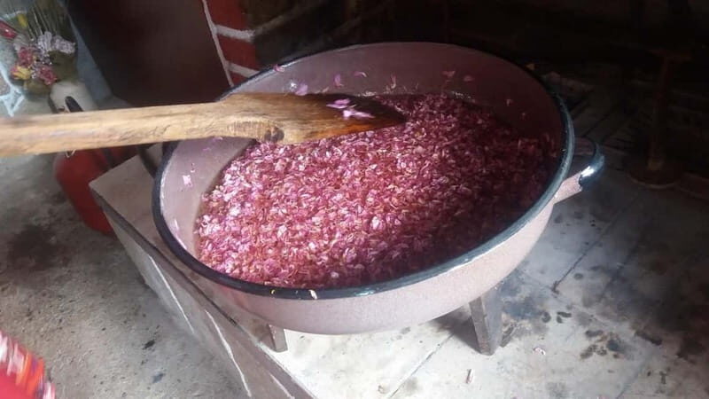 Sofia Kazanluk Rose Valley & Oil Distillery Tour - Practical Tips for Travelers