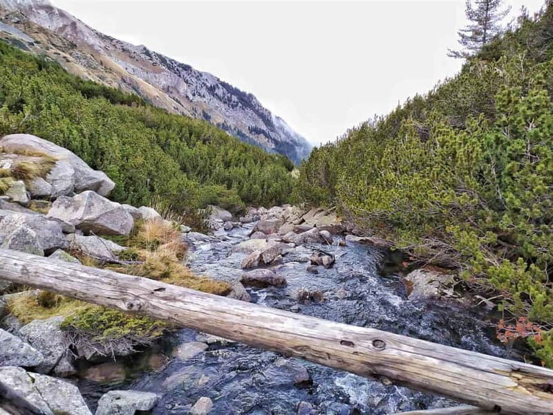 Sofia: Pirin National Park Hike & Bansko Visit - Evaluating the Cost and Value