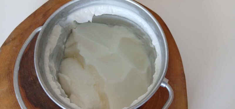 Sofia: Taste Bulgarian Yogurt Kiselo Mlyako in a Family Home - Introduction: An Authentic Taste of Bulgaria