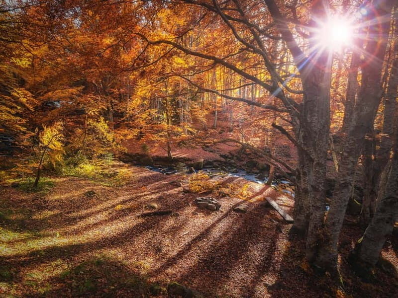 Sofia: Walk and Hike in Vitosha Mountain and Pancharevo Lake - Key Points