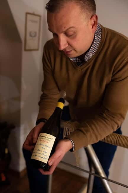 Sofia: Wine & Cheese Tasting Experience - Key Points