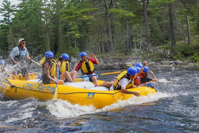 Soft Adventure Rafting on the Ottawa River - What to Expect on the Trip