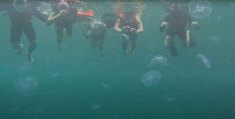 Sohoton Cove: Swim with Jellyfish & Explore Hidden Lagoons - The Journey to Sohoton: From Pickup to Departure