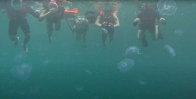 Sohoton Cove: Swim with Jellyfish & Explore Hidden Lagoons - What’s Missing? Some Considerations