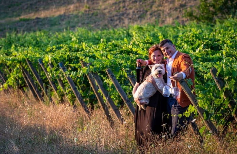 Soiana: Vineyard & Cellar Tour with Wine Tasting near Pisa - What to Expect from the Tour