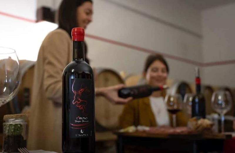 Soiana: Vineyard & Cellar Tour with Wine Tasting near Pisa - What’s Included and What to Keep in Mind