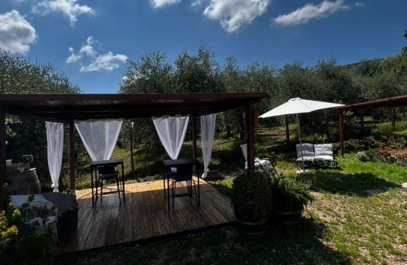 Soiana: Vineyard & Cellar Tour with Wine Tasting near Pisa - Final Thoughts
