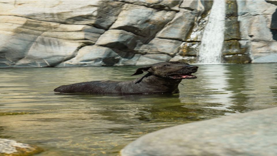 Sol De Mayo Oasis: Explore Natural Springs and Charming Town - Experience Highlights