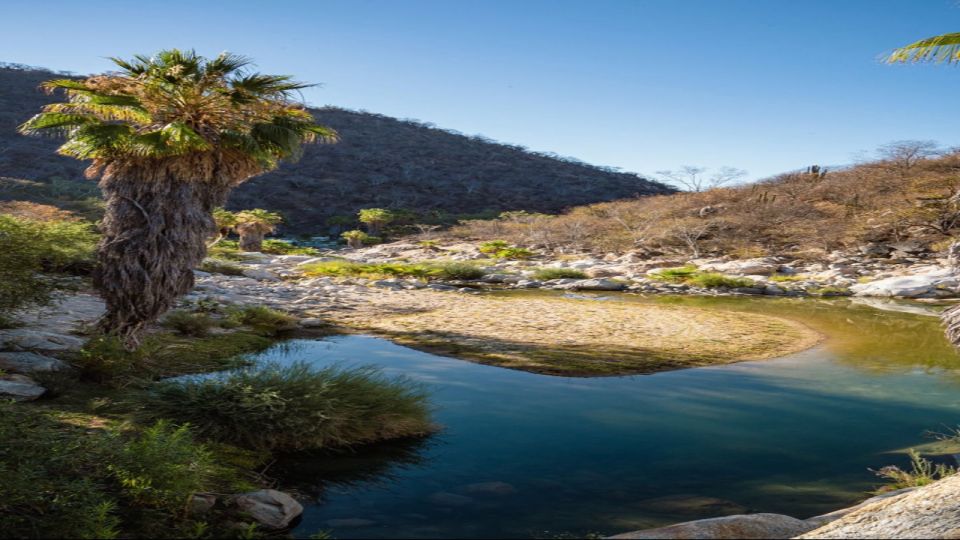 Sol De Mayo Oasis: Explore Natural Springs and Charming Town - Full Description