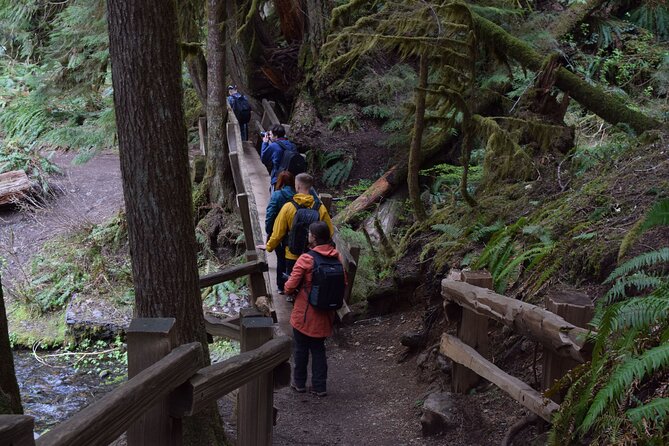 Sol Duc, Lake Crescent, and Hurricane Ridge Guided Tour in Olympic National Park - Traveler Experiences and Feedback