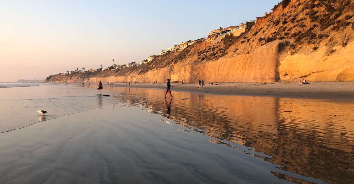 Solana Beach: Full Day Skimboard Rental - Key Points