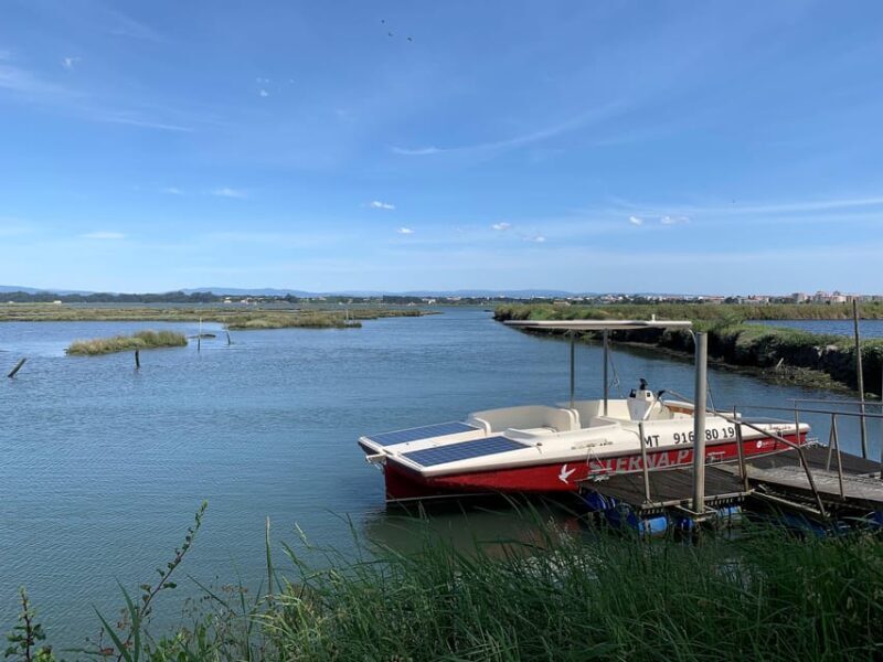 Solar Boat Tour along the Salgado da Ria de Aveiro - Introduction: A Peaceful Way to Discover Aveiro’s Wetlands