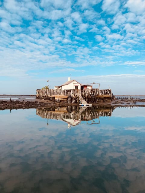 Solar Boat Tour along the Salgado da Ria de Aveiro - The Sum Up: Who Should Consider This Tour?