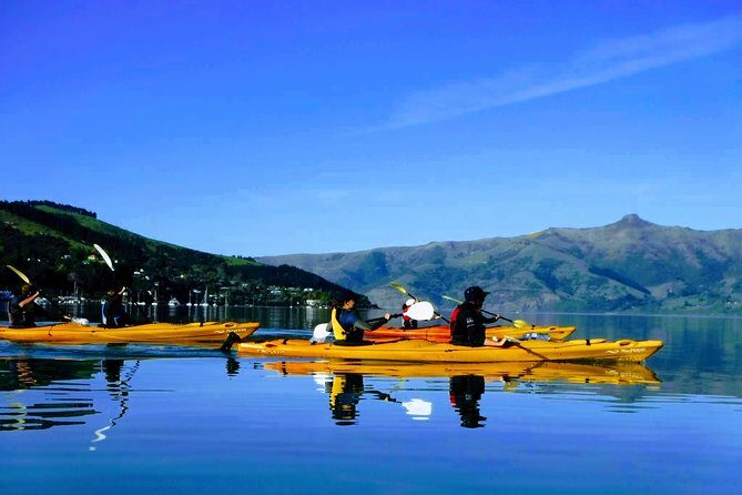 Solar Explorer in Akaroa - Sun-Viewing Tour with Telescopes - The Broader Context: Who Will Love This?