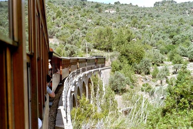 Soller Port With Train and Tram Mallorca Half Day Trip - Traveler Capacity and Comfort