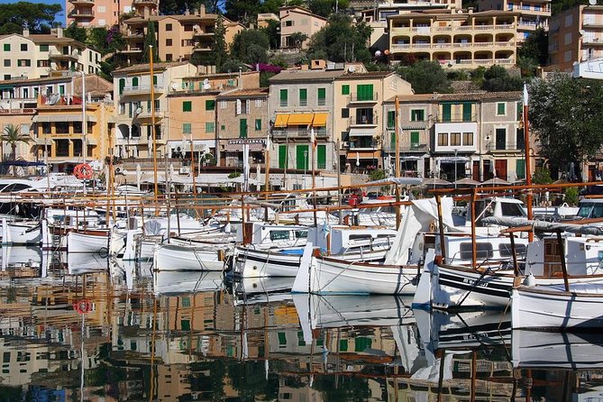 Soller Port With Train and Tram Mallorca Half Day Trip - Guide Performance Evaluation