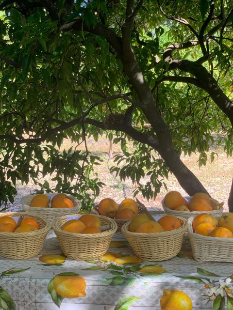 Soller Valley Walk: Small Villages and Citrus Farm Visit - Inclusions