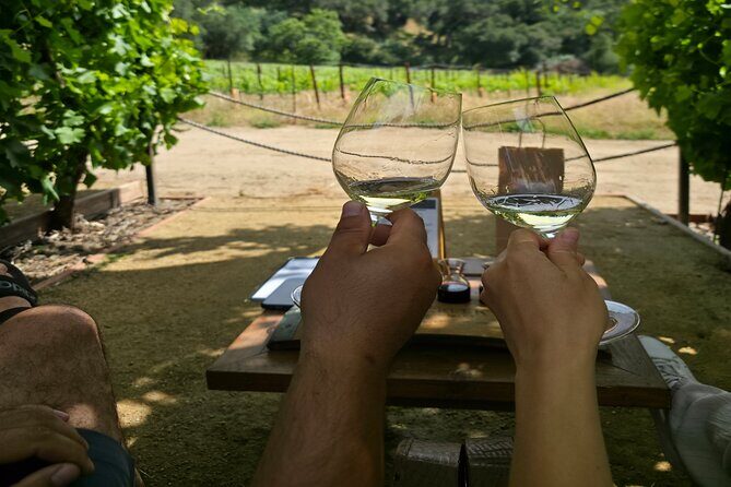 Solvang Ventura Wine Tour by Car - Frequently Asked Questions