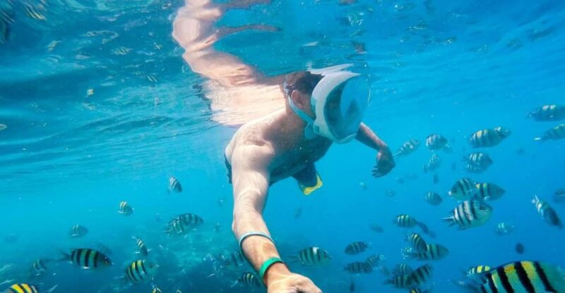 Soma Bay: Magawish Island & Snorkeling Tour W Buffet Lunch - Activities on Magawish Island