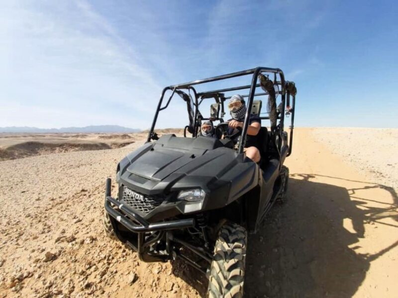 Soma Bay: Sea & Mountains Private Buggy Safari Adventure - Thrilling Highlights