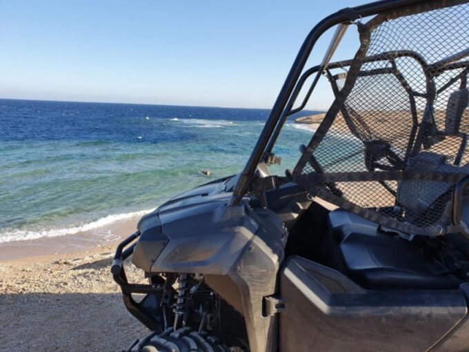 Soma Bay: Sea & Mountains Private Buggy Safari Adventure - Essential Tips for Travelers
