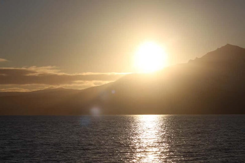 Sommarøy: Midnight Tour by minibus - What You Can Expect on This Arctic Journey