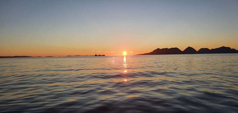 Sommarøy: Midnight Tour by minibus - Practical Details & Value