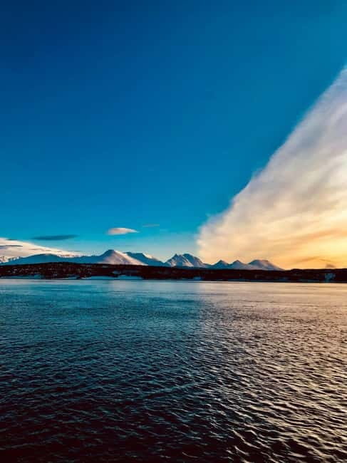 Sommarøy: Midnight Tour by minibus - Why This Tour Is Worth Considering