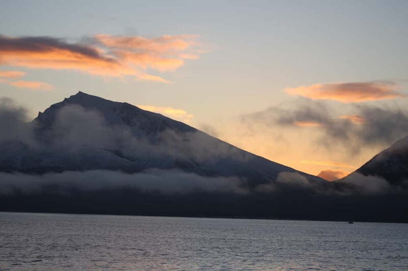 Sommarøy: Midnight Tour by minibus - Frequently Asked Questions