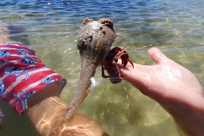 Sonnys Boat Tours Full Day Sand Bar Adventure Englewood, Florida - Health and Safety Information
