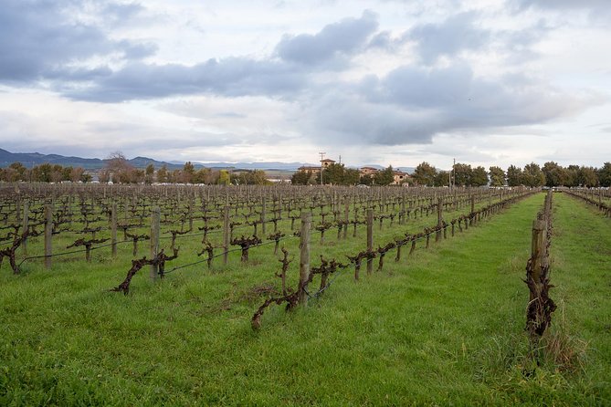 Sonoma Coast Cheese, Honey, Oysters and Wine Private Tour - Scenic Coastal Views
