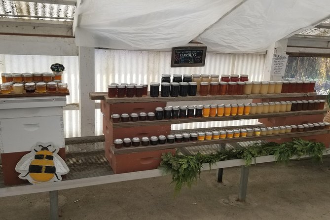 Sonoma Coast Cheese, Honey, Oysters and Wine Private Tour - Customer Feedback