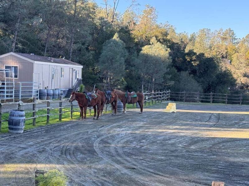 Sonoma County: Wine Country Horseback Riding Adventure - Key Points  