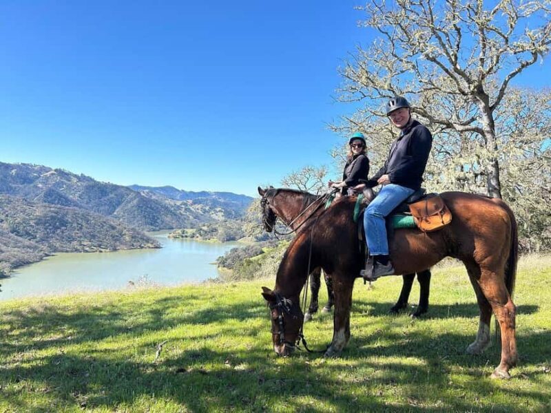 Sonoma County: Wine Country Horseback Riding Adventure - The Experience and Authenticity  