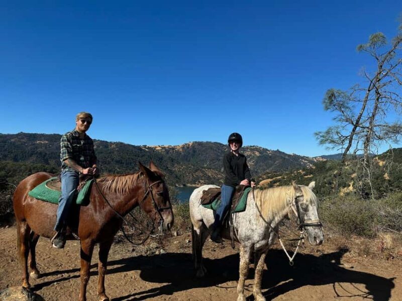 Sonoma County: Wine Country Horseback Riding Adventure - Who Will Love This Experience?  